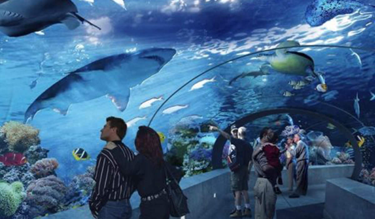 Antalya_Aquarium-500x300
